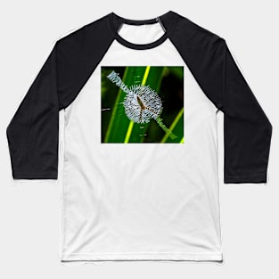 Spider in web Baseball T-Shirt